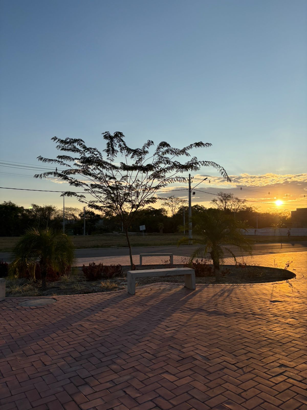 WhatsApp Image 2025-12-12 at 17.43.14 (1)