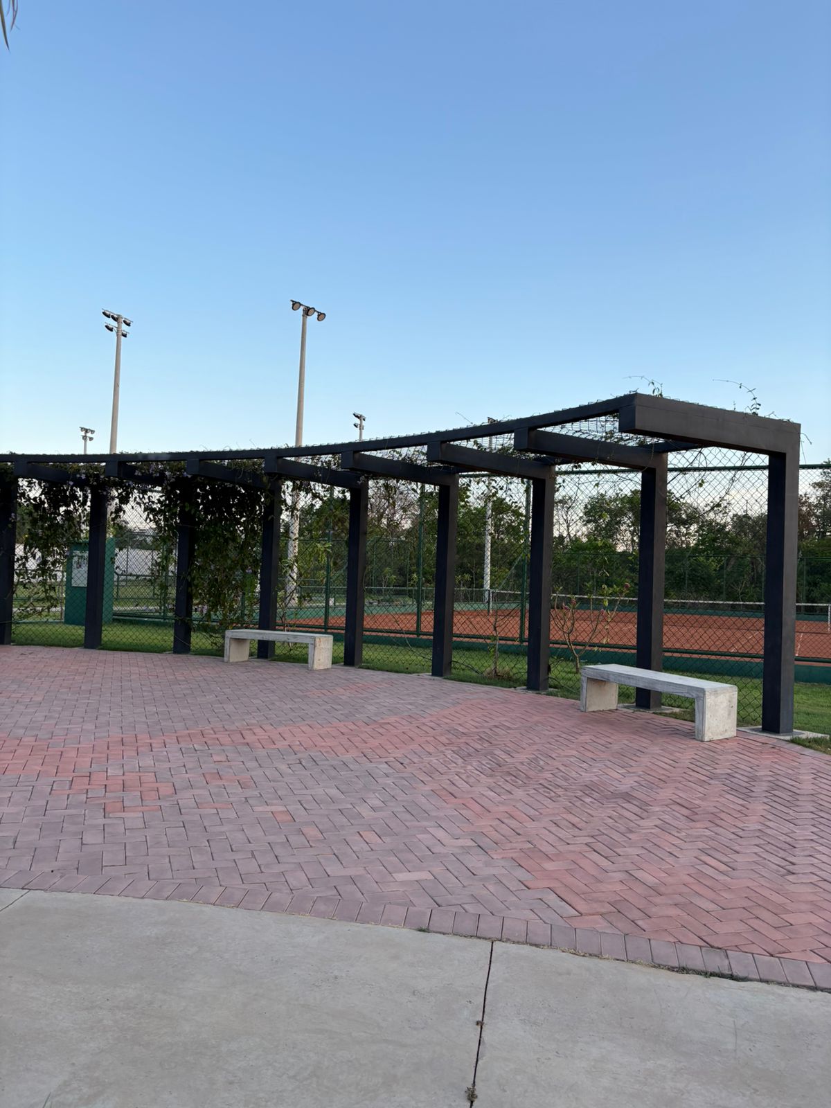 WhatsApp Image 2025-12-12 at 17.43.15