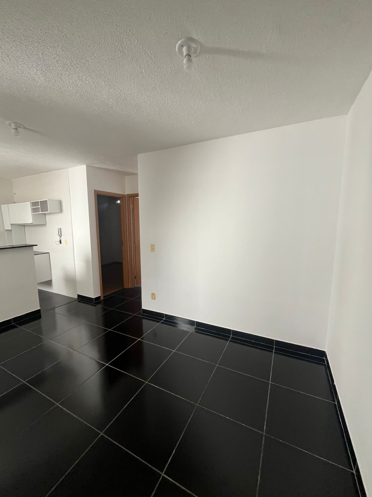 WhatsApp Image 2026-02-10 at 10.20.17