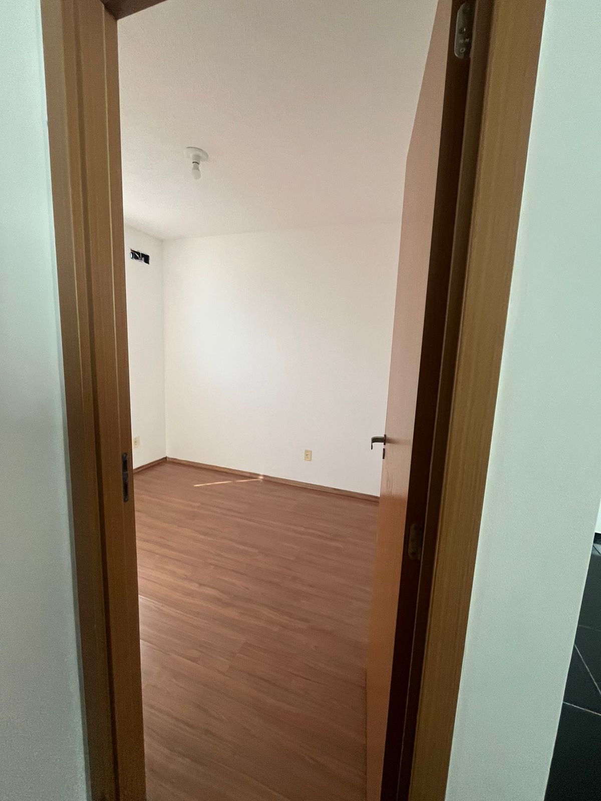 WhatsApp Image 2026-02-10 at 10.20.18 (1)