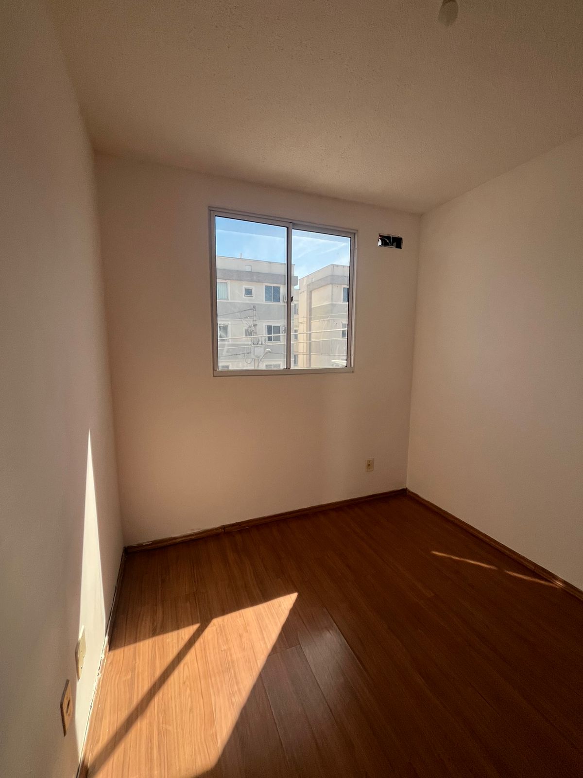 WhatsApp Image 2026-02-10 at 10.20.18 (2)