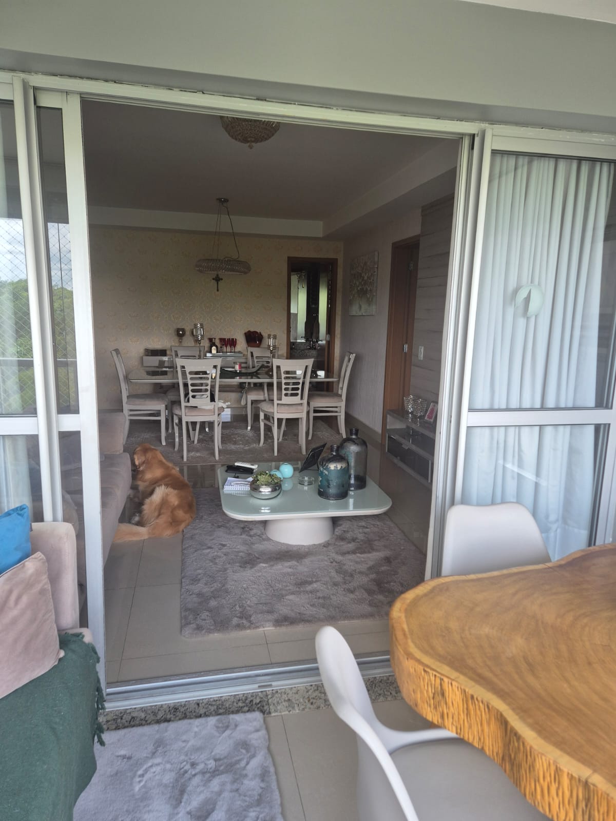 WhatsApp Image 2026-02-10 at 11.59.54