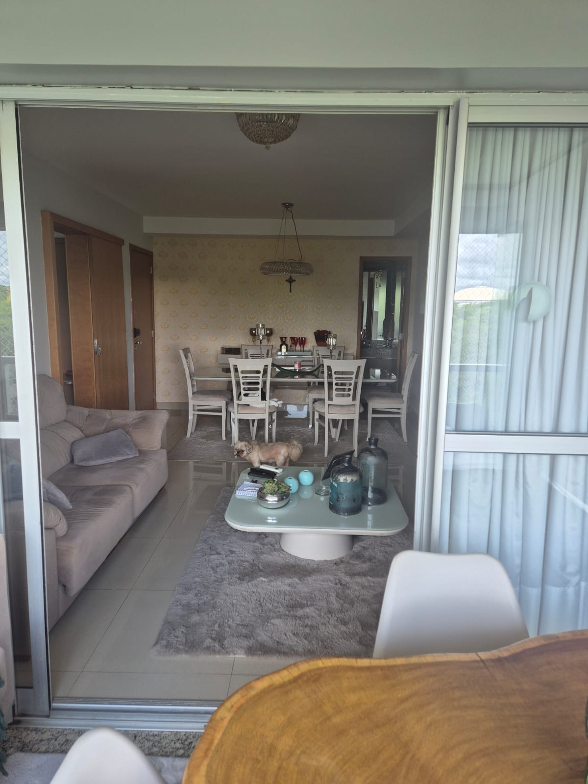 WhatsApp Image 2026-02-10 at 12.00.07