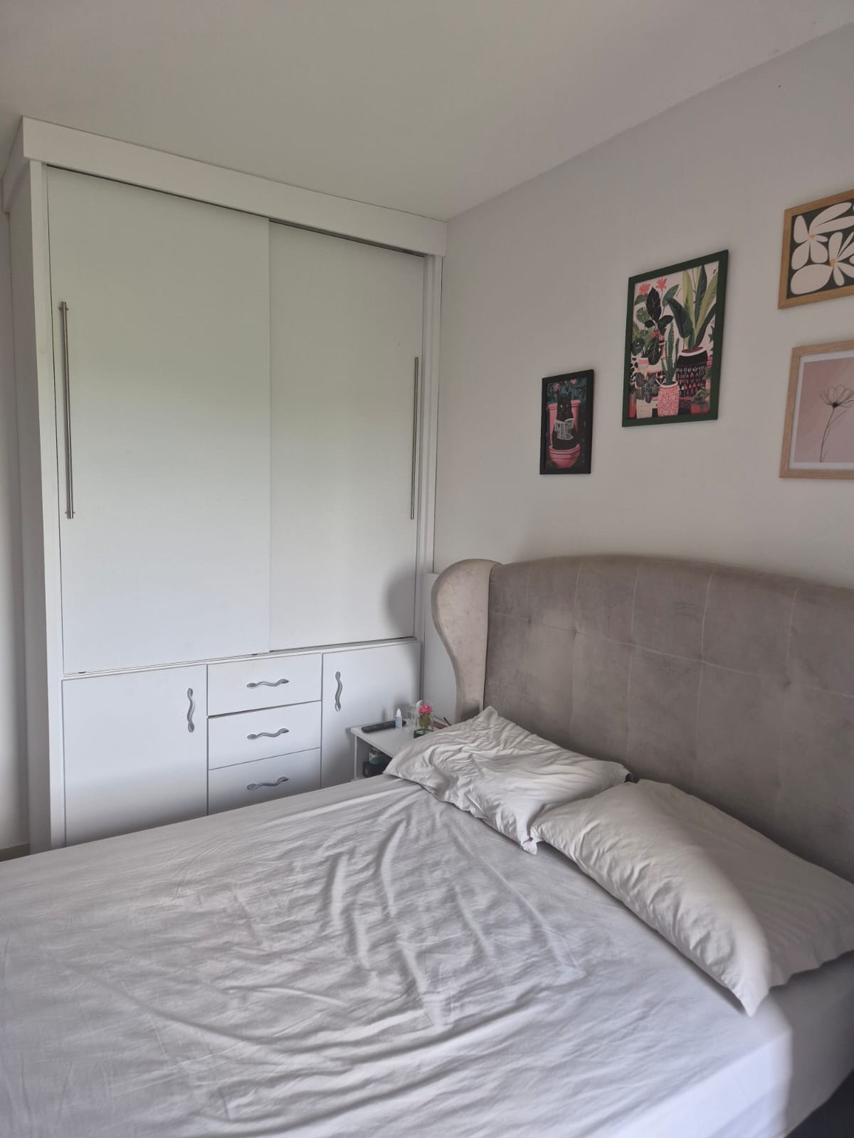 WhatsApp Image 2026-02-10 at 12.00.09