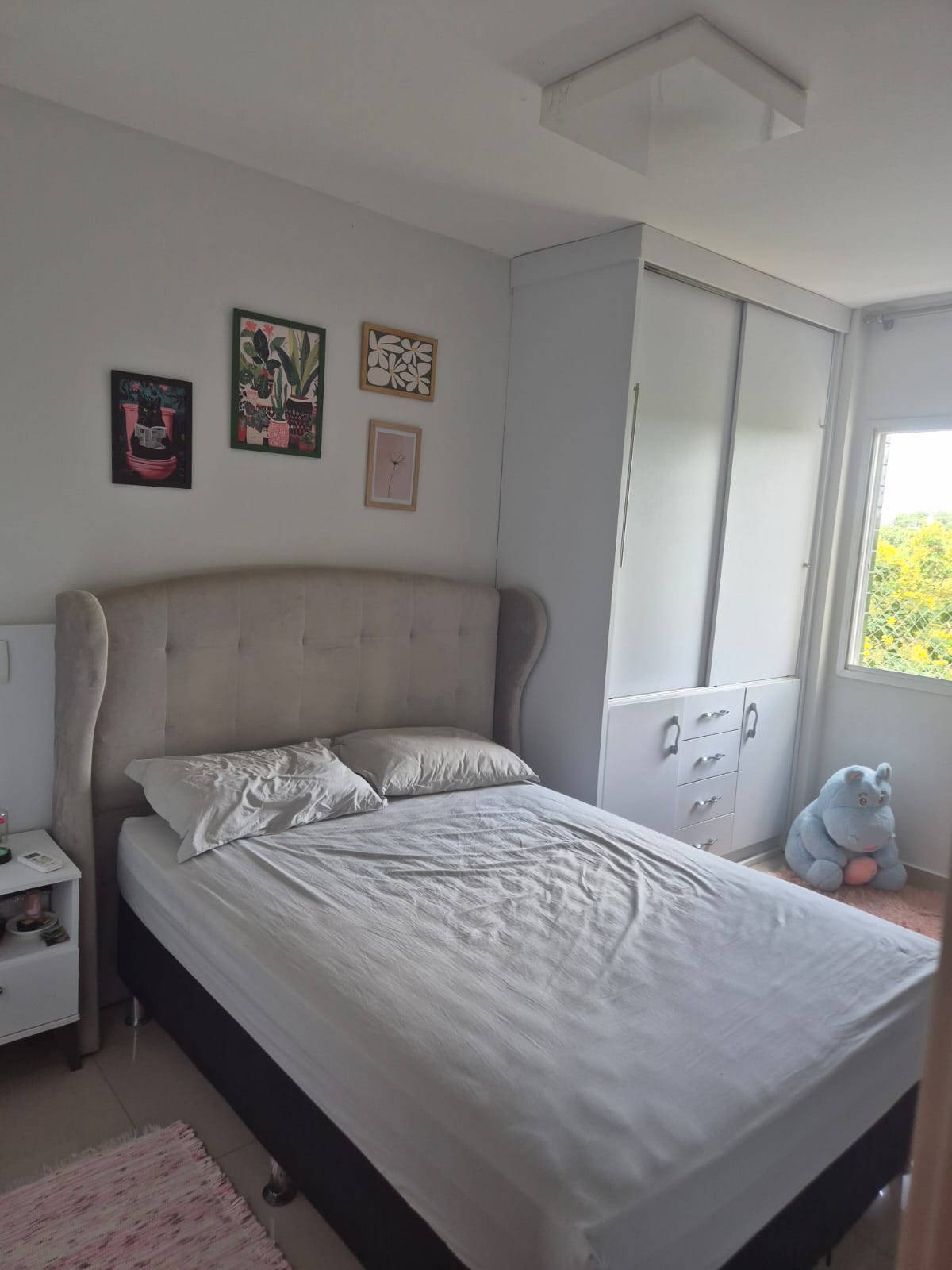 WhatsApp Image 2026-02-10 at 12.00.39