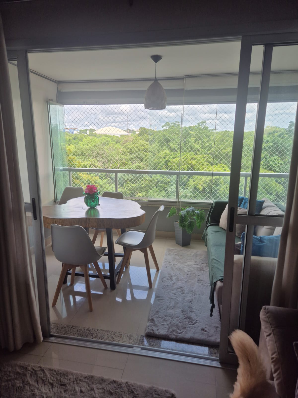 WhatsApp Image 2026-02-10 at 12.02.41